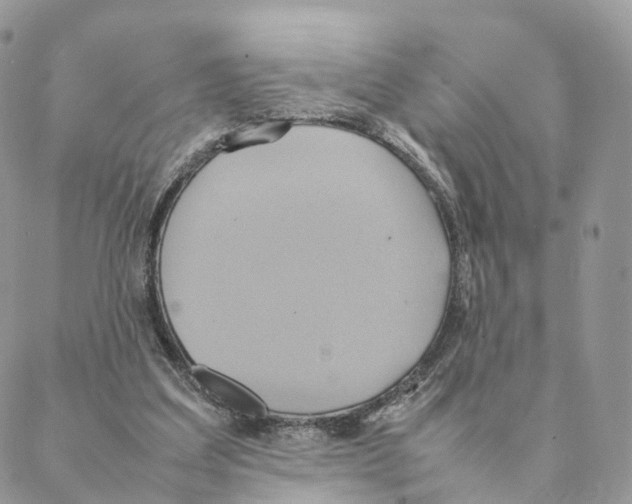 X0000088210203200706121813