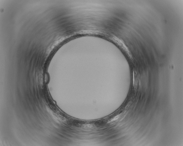 X0000088210204200706121813