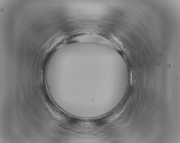 X0000088210205200706121813