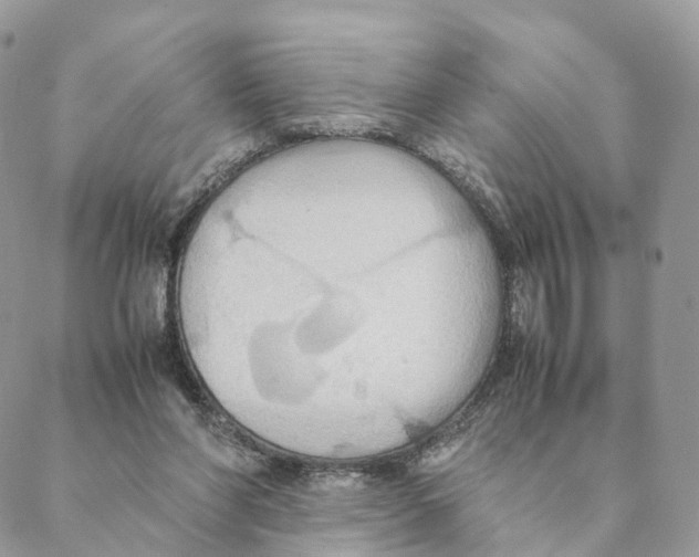 X0000088210206200706121813