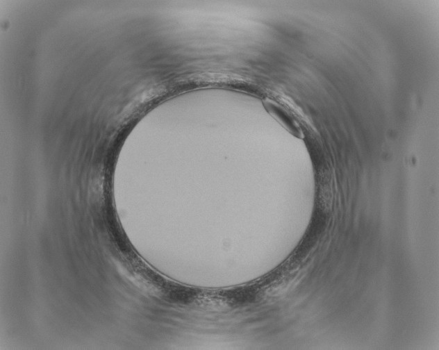 X0000088210207200706121813