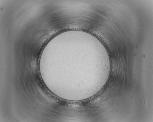 X0000088210208200706121813