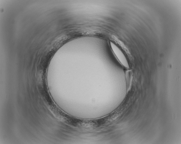 X0000088210209200706121813