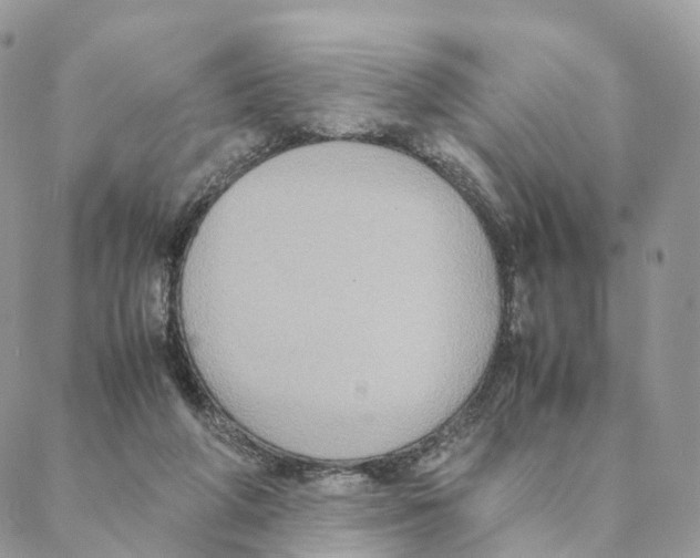 X0000088210210200706121813