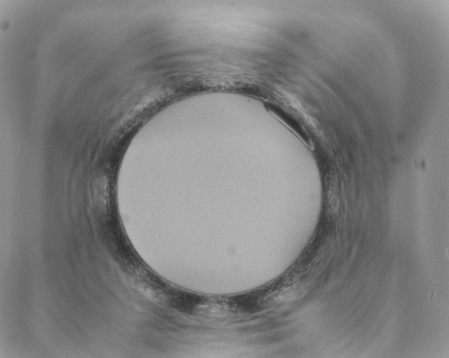 X0000088210211200706121813