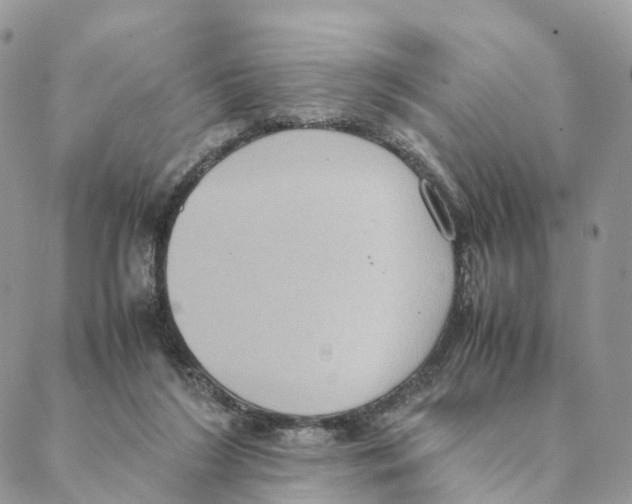 X0000088210212200706121813