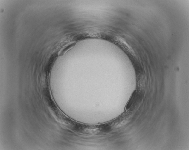 X0000088210213200706121813