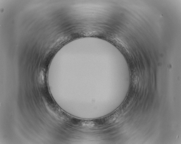 X0000088210214200706121813