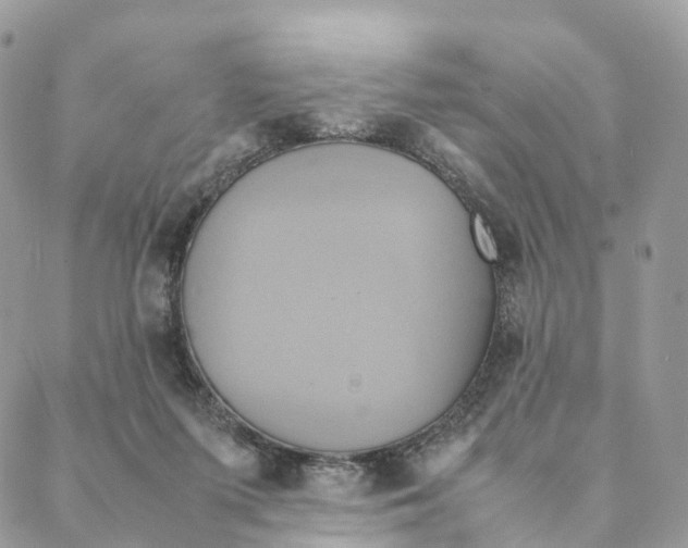 X0000088210215200706121813