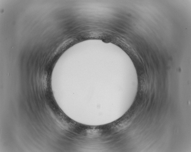 X0000088210216200706121813