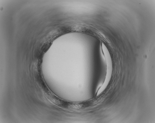 X0000088210217200706121813