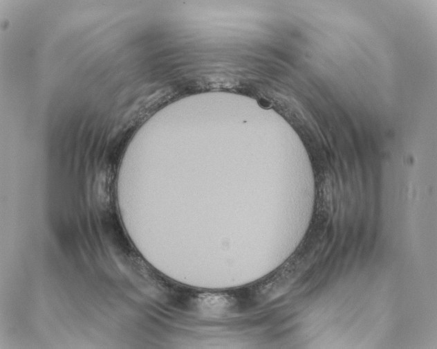 X0000088210218200706121813