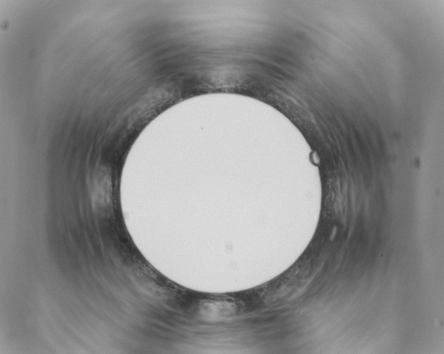 X0000088210220200706121813