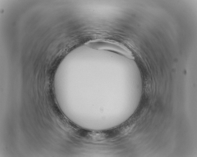 X0000088210221200706121813