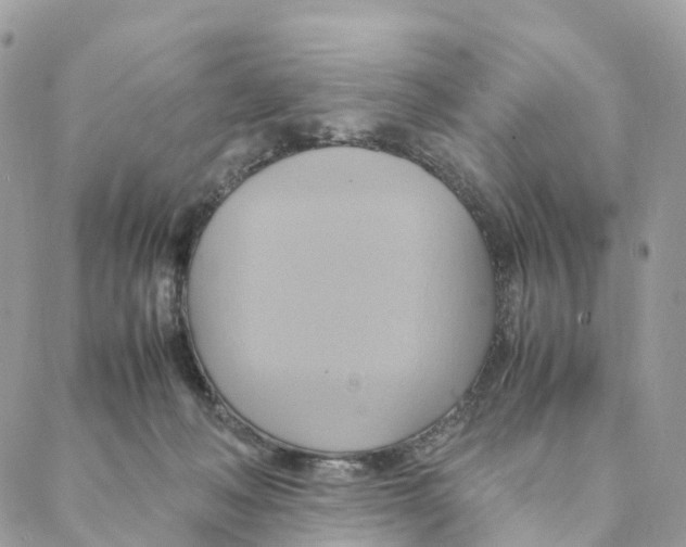 X0000088210222200706121813