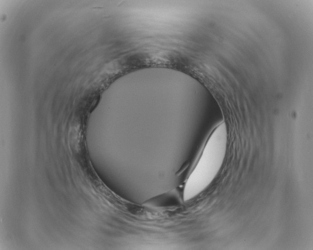 X0000088210223200706121813