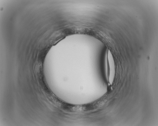 X0000088210225200706121813