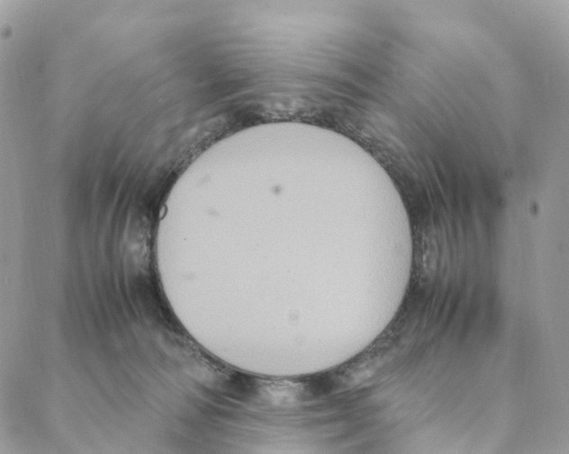 X0000088210226200706121813