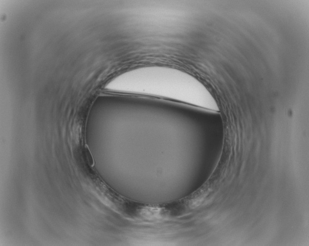 X0000088210227200706121813