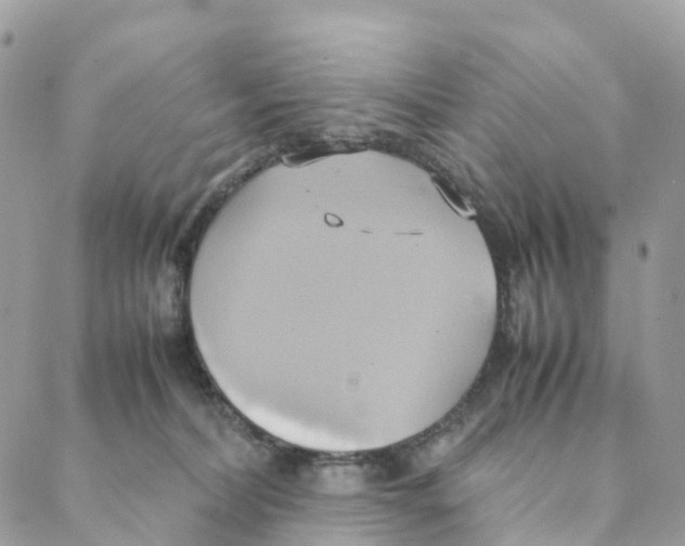 X0000088210228200706121813