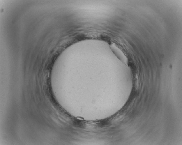 X0000088210229200706121813