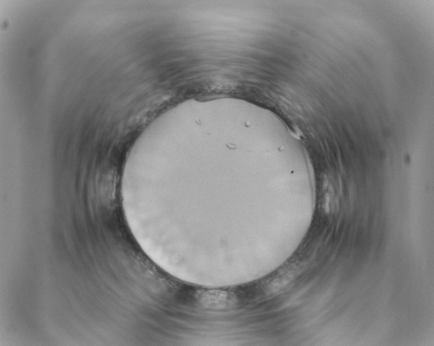 X0000088210230200706121813