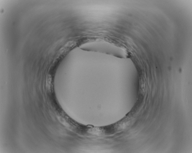 X0000088210231200706121813