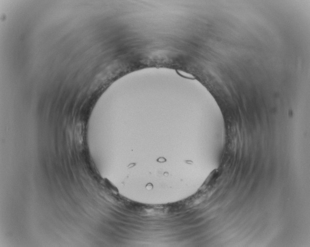 X0000088210232200706121813