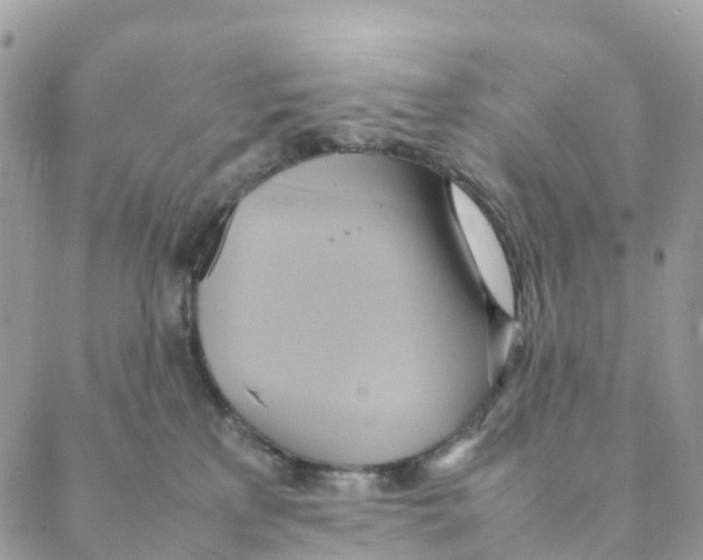 X0000088210233200706121813