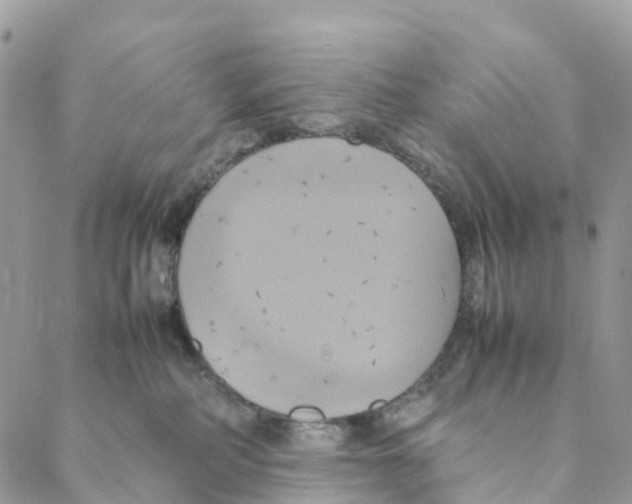 X0000088210234200706121813