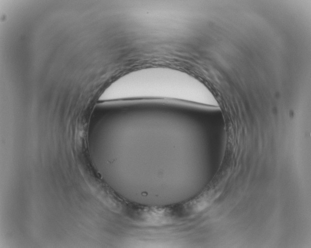 X0000088210235200706121813