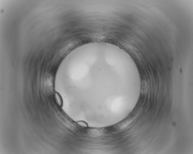 X0000088210238200706121813