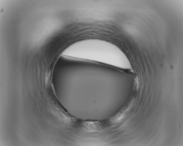 X0000088210239200706121813