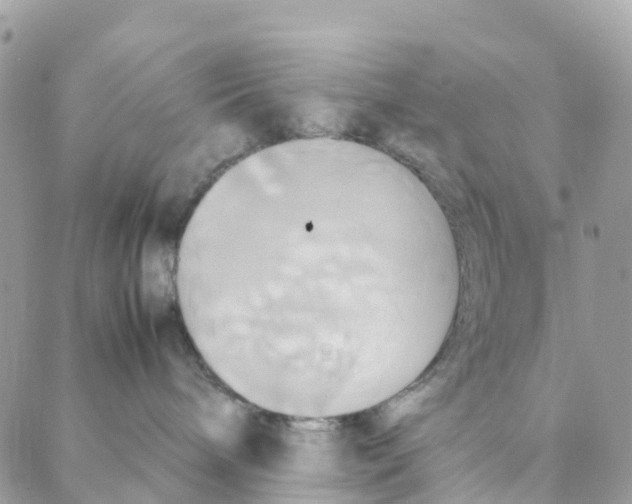 X0000088210240200706121813