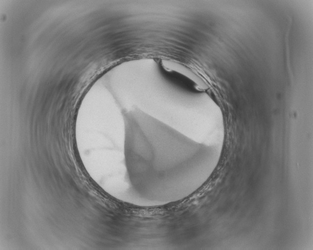 X0000088210241200706121812