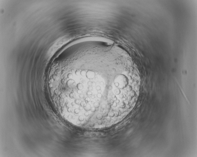 X0000088210242200706121812