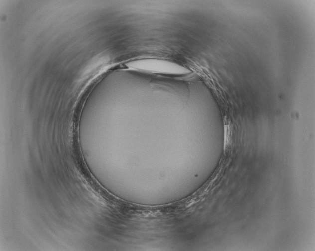 X0000088210243200706121812