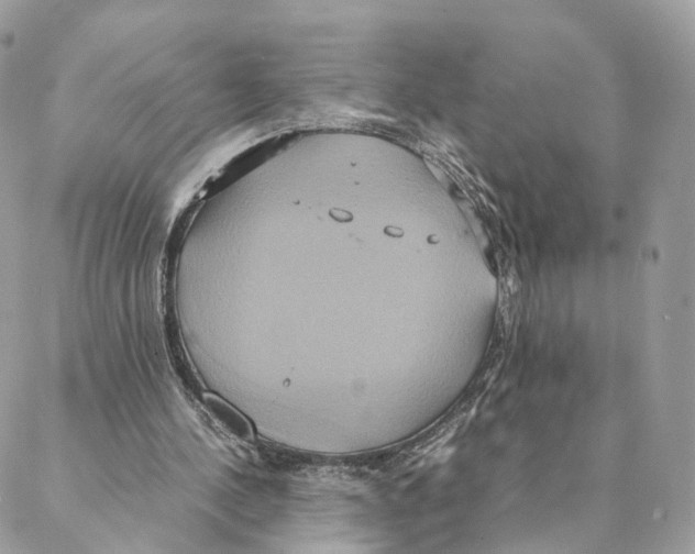 X0000088210244200706121812