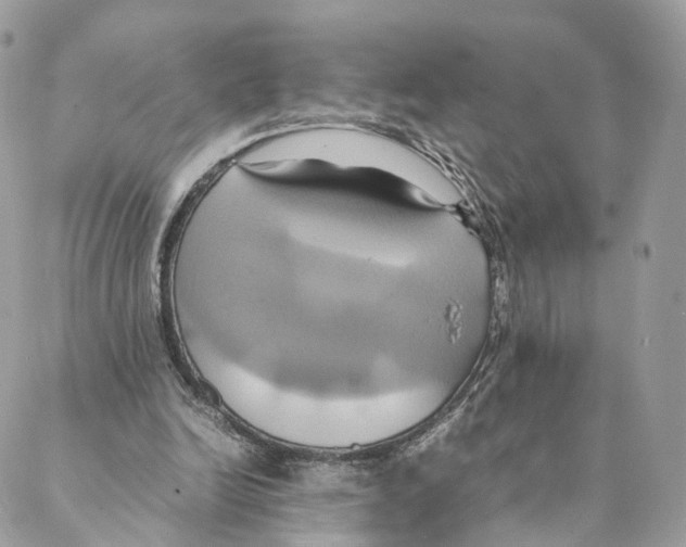 X0000088210246200706121812