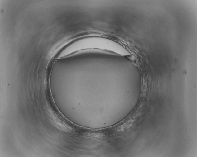 X0000088210247200706121812