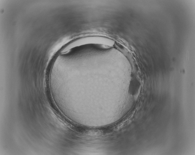 X0000088210248200706121812