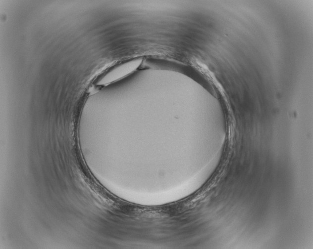 X0000088210249200706121812