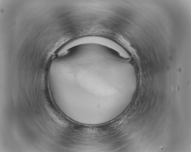 X0000088210250200706121812