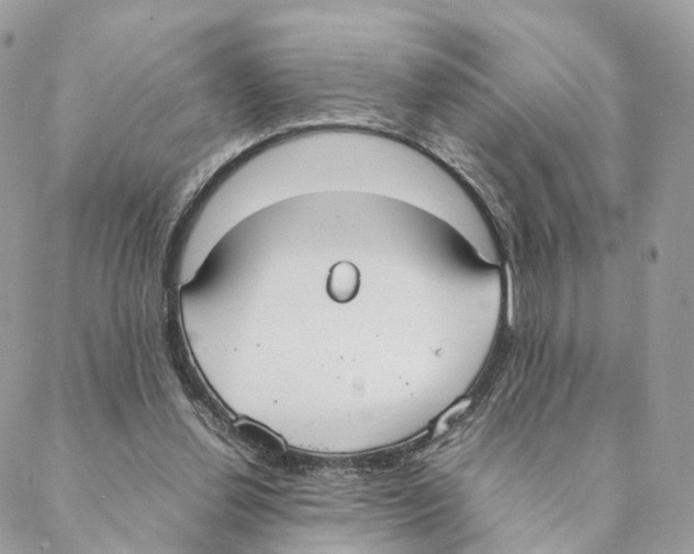 X0000088210252200706121812