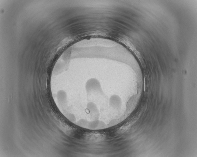 X0000088210253200706121812