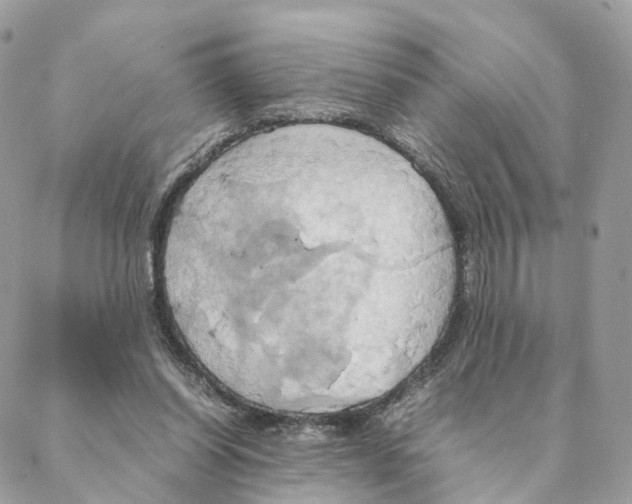 X0000088210254200706121812