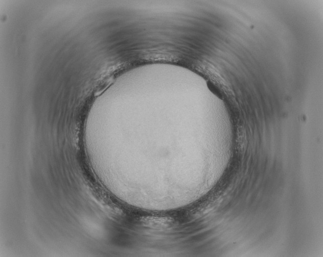 X0000088210255200706121812