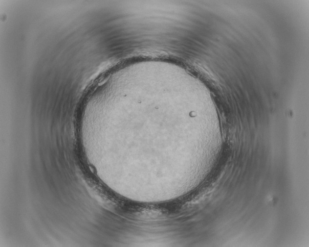 X0000088210256200706121812