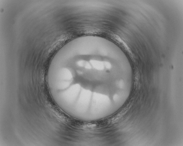 X0000088210257200706121812