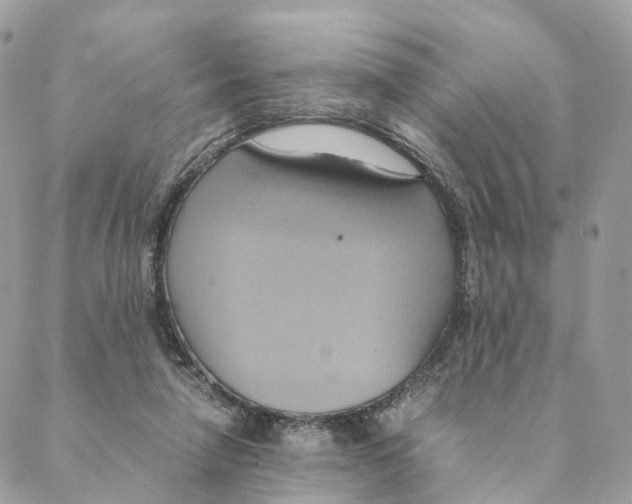 X0000088210258200706121812